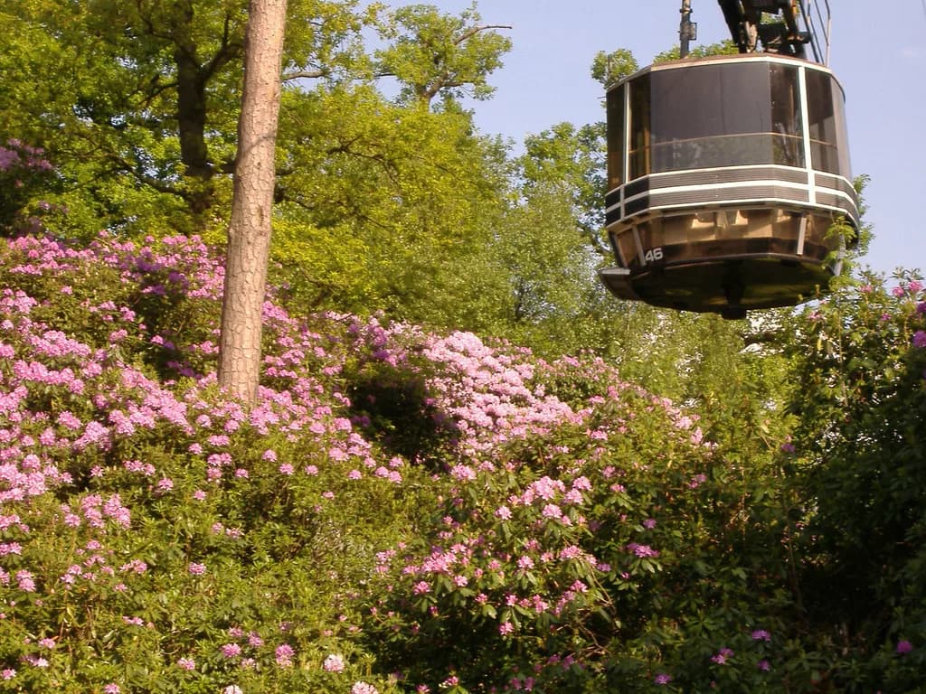 Alton Towers Accessibility Guide: Ride Access & Carers