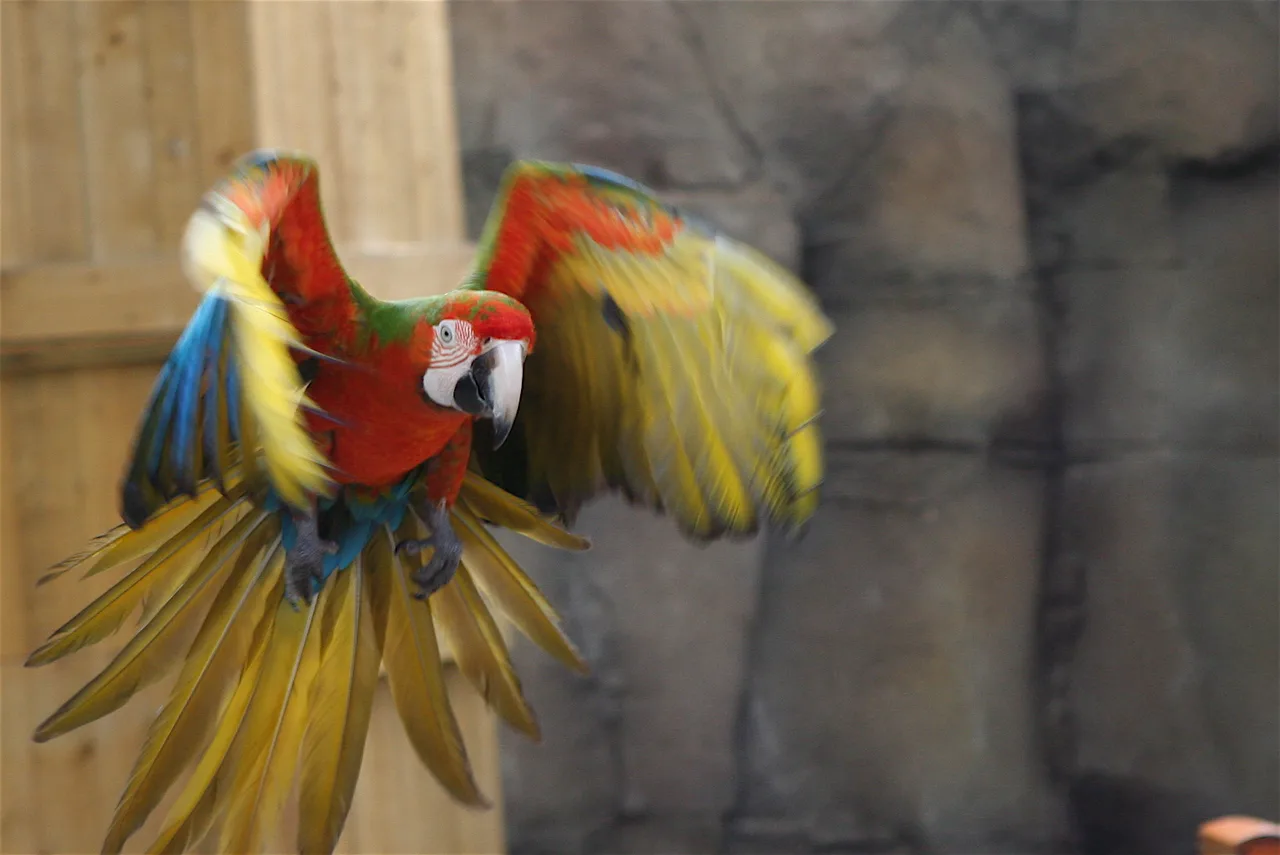 Flamingo Land Tickets and Prices: Which Ticket to Buy