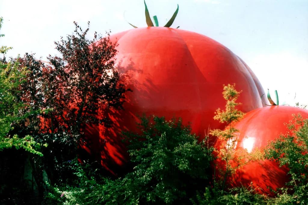Futuroscope Food Guide: Restaurants, Menus and Where to Eat