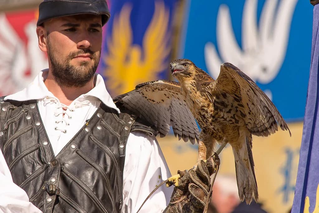 Puy du Fou Map: Park Areas and Show Venues Explained
