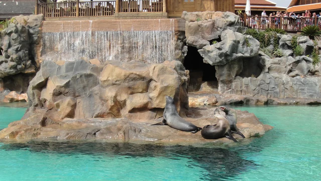 Siam Park Accessibility: Decide Passes and Ride Rules