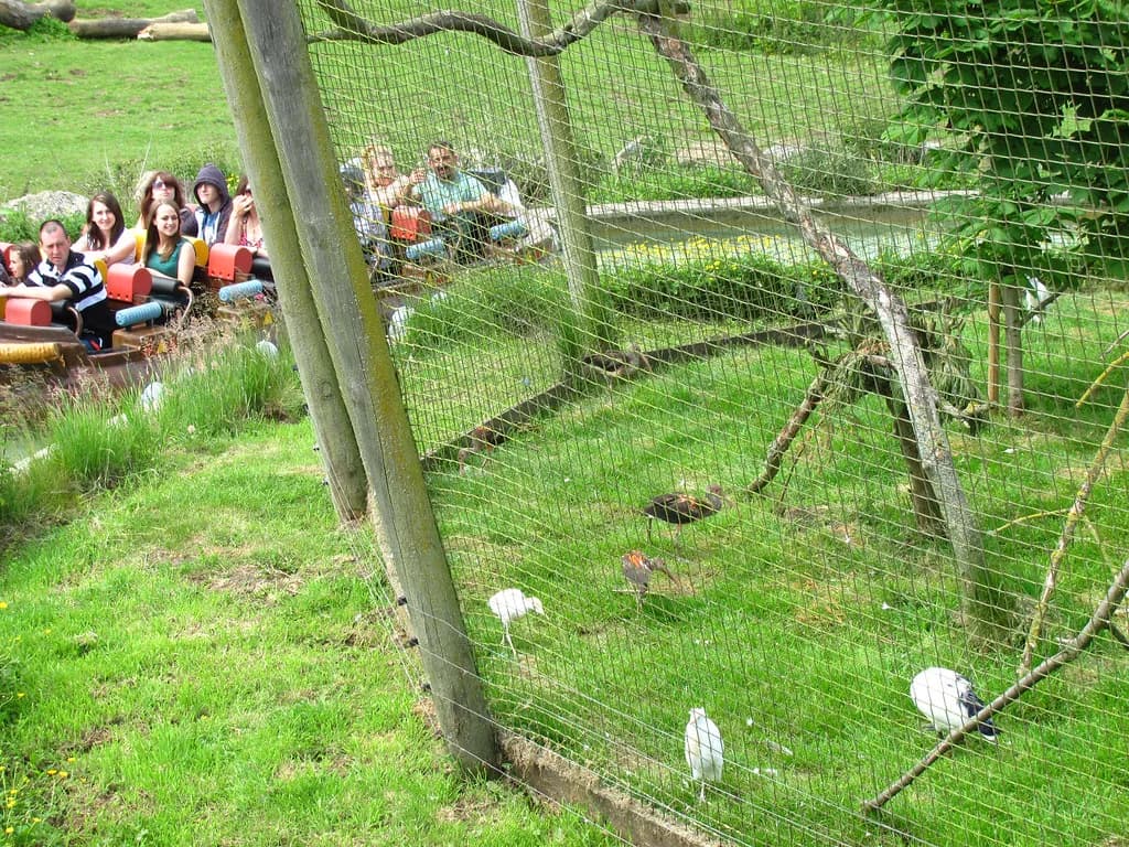 Flamingo Land Height Restrictions: Ride Minimum Heights