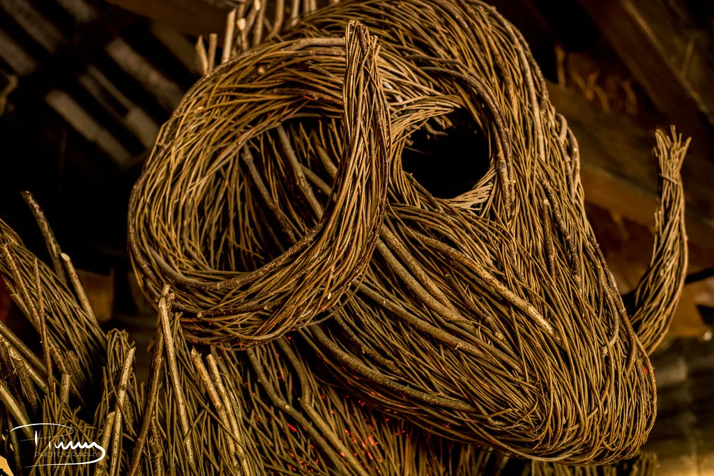 Wicker Man Effigy in profile, Alton Towers