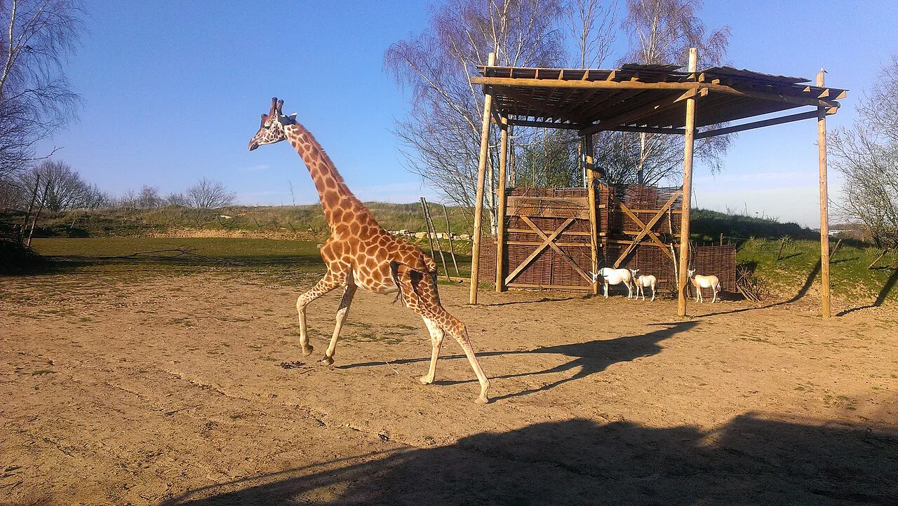 ZUFARI, Chessington World of Adventures, Europe