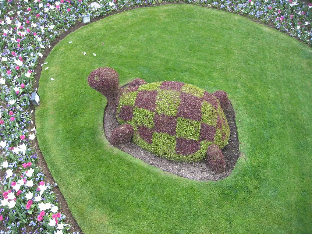 Tartaruga nel verde, Gardaland