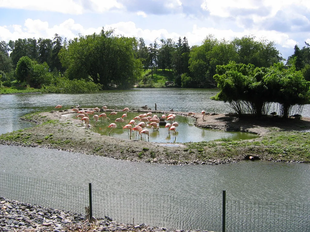 Pairi Daiza, Belgium
