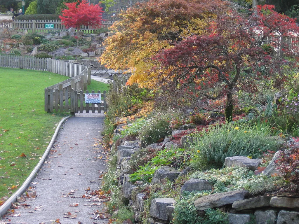 View towards goldfish pond at Paultons Park