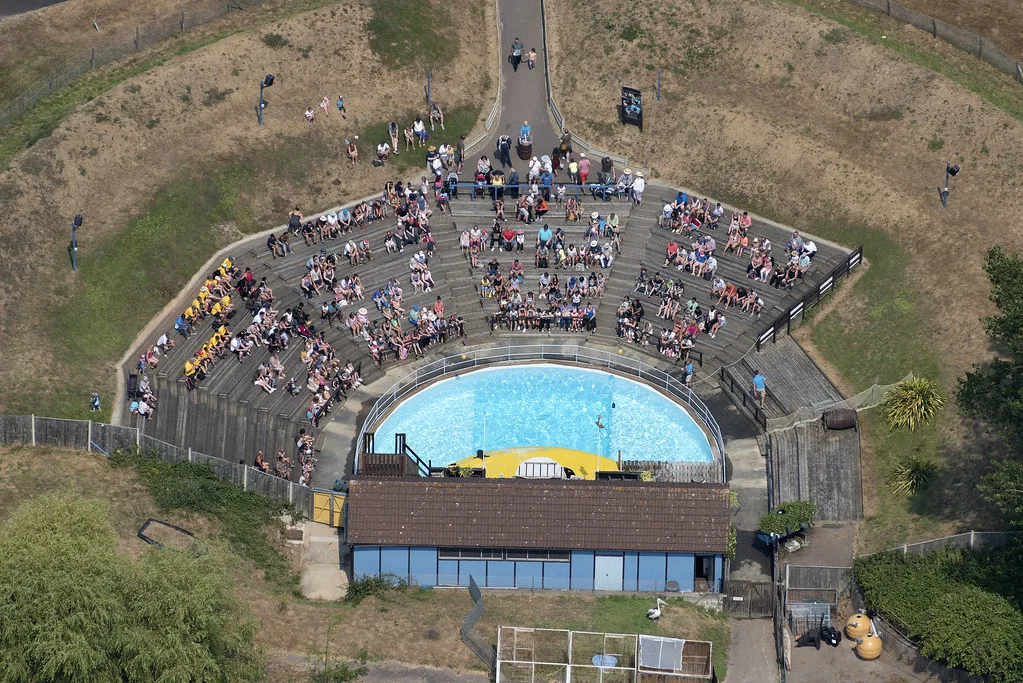 Pleasurewood Hills aerial image: Sea Lion show - Suffolk UK