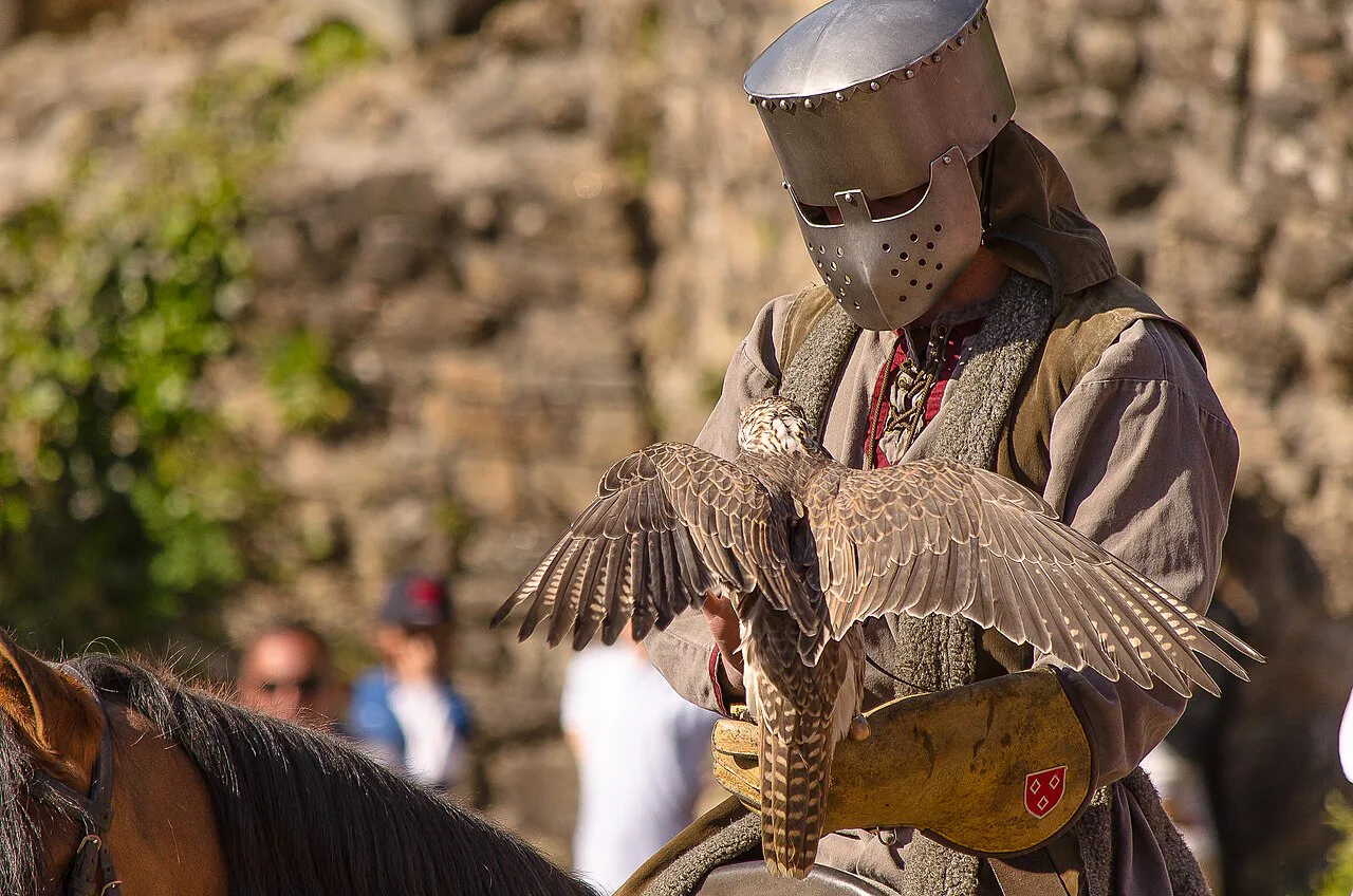 A day at Puy du Fou, France