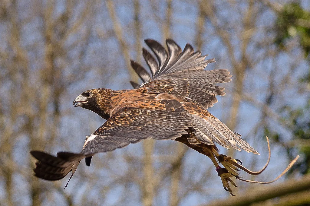 Puy du Fou, France